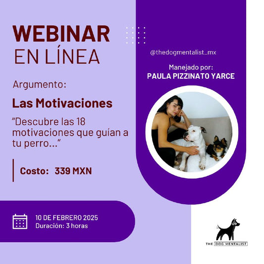 Las 18 motivaciones caninas — Webinar grabado